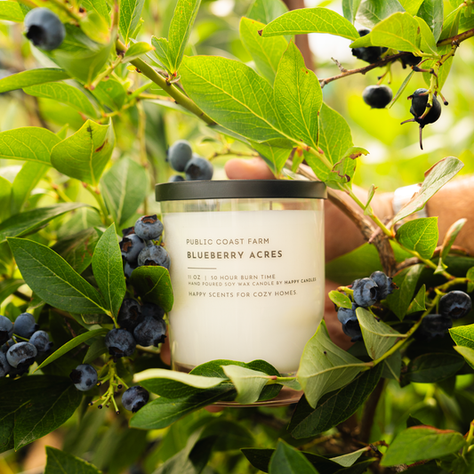 NEW • Happy Candles x Public Coast Farm Candle