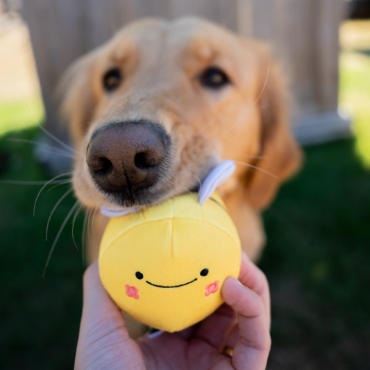 Public Coast Farm Plush Dog Toys