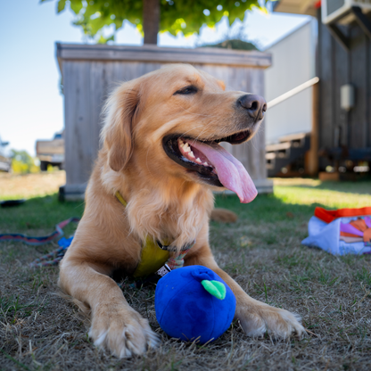 Public Coast Farm Plush Dog Toys